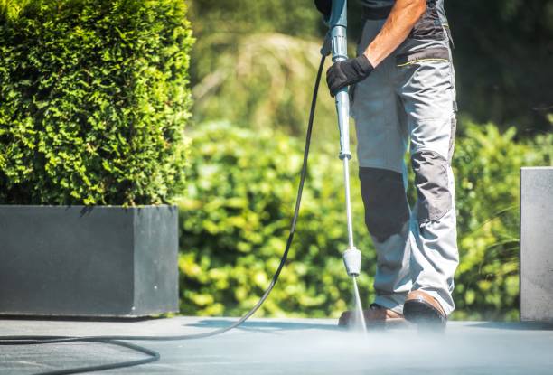 Best Fence Cleaning  in China Lake Acres, CA