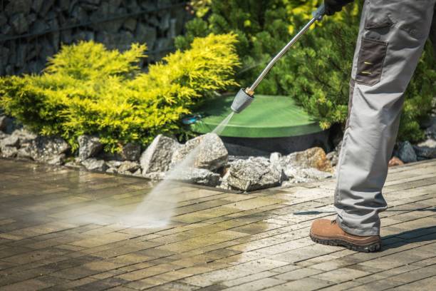 Best Winterizing Services  in China Lake Acres, CA