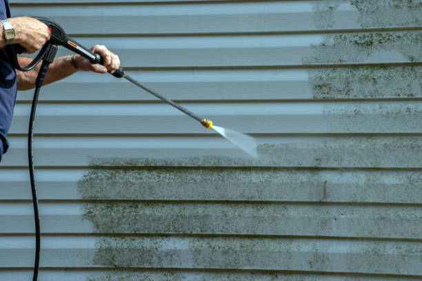 Best Driveway Pressure Washing  in China Lake Acres, CA